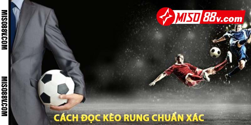 Cách đọc kèo rung chuẩn xác